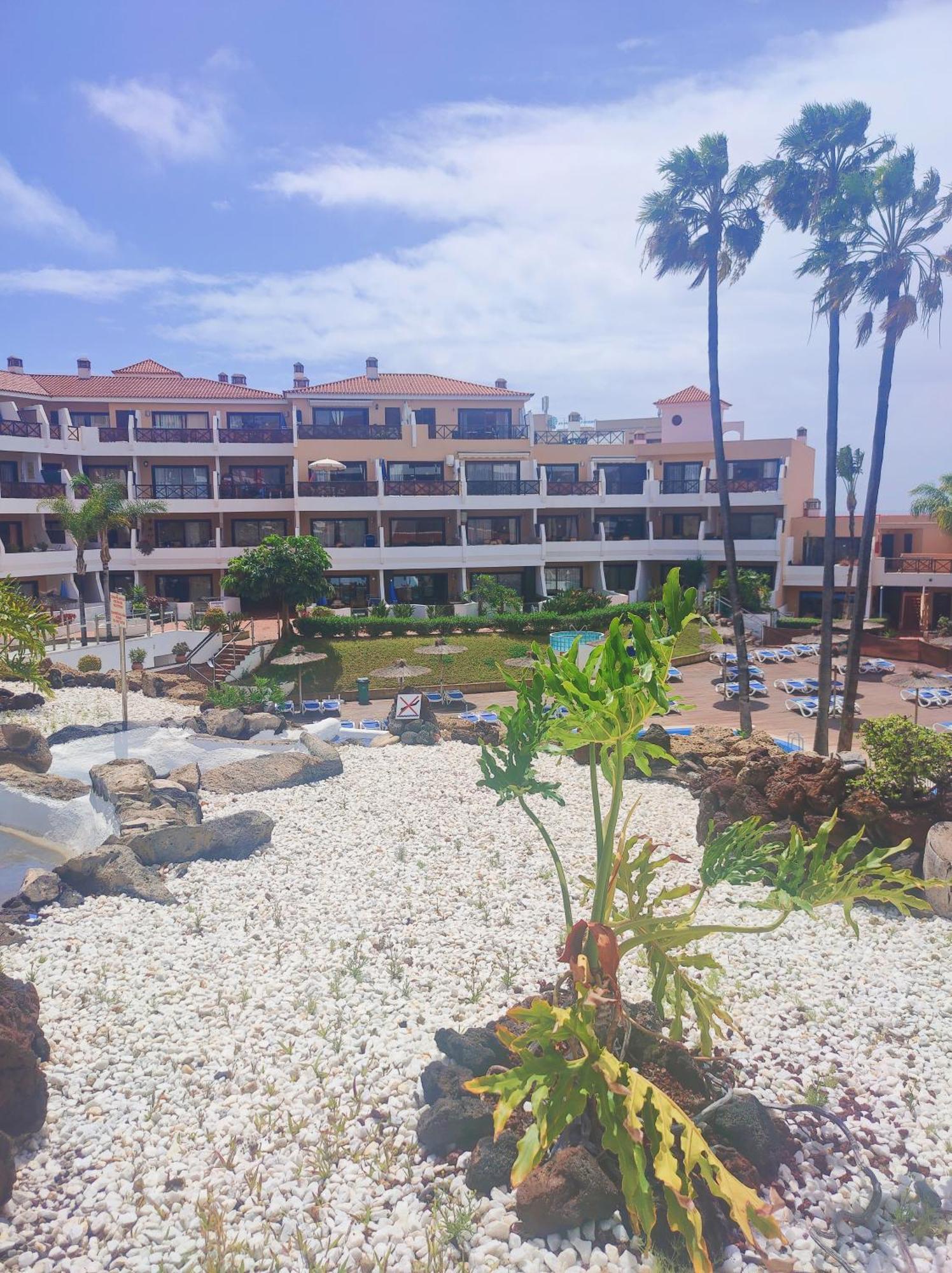 Lovely Apartment Top Views, Heated Pool, Great Location 산미겔데아보나 외부 사진